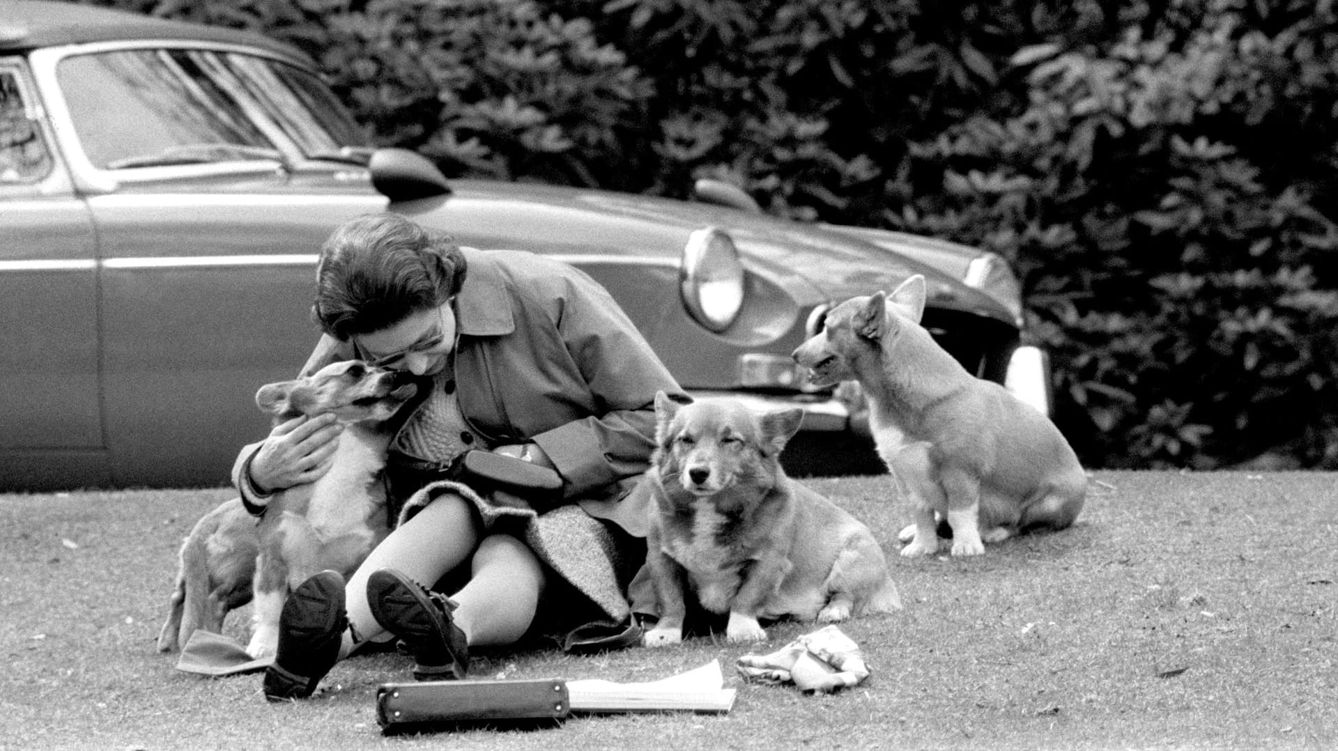 Queen Elizabeth mit ihren Corgis: Sie hat schon von klein auf eine Vorliebe für diese Hundeart.