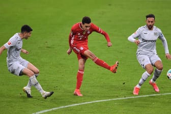 Auch die Spieler des FC Bayern (hier Jamal Musiala) und von Bayer Leverkusen (Exequiel Palacios (l.) und Karim Bellarabi (r.)) müssen im Saisonfinale in ein Quarantäne-Trainingslager.