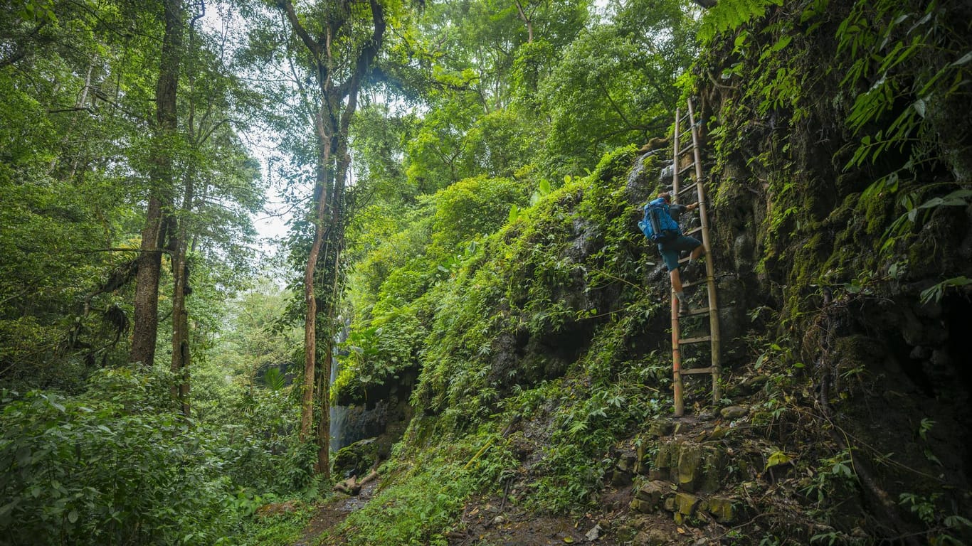 Ein Wanderer im Dschungel (Symbolbild): Ein vermisster Münchner wurde in Kolumbien wiedergefunden.
