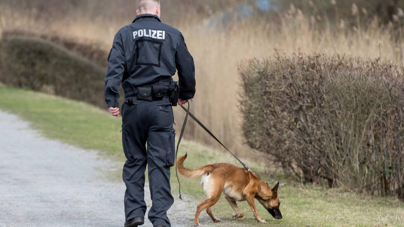 Ein Polizist führt einen Hund an der Leine (Symbolbild): Bei der Attacke in einem Park war der Hund nicht angeleint.
