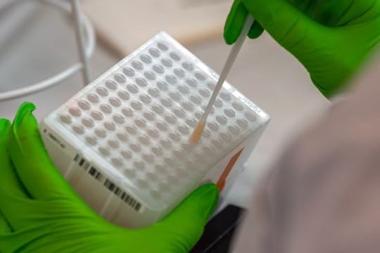 Eine Labormitarbeiterin arbeitet an der Einsortierung der Stäbchen mit Zellen der Wangenschleimhaut für den Typisierungsprozess der DNA (Archivbild): In Nürnberg kann man sich nun beim Corona-Test für eine Stammzellspende registrieren.