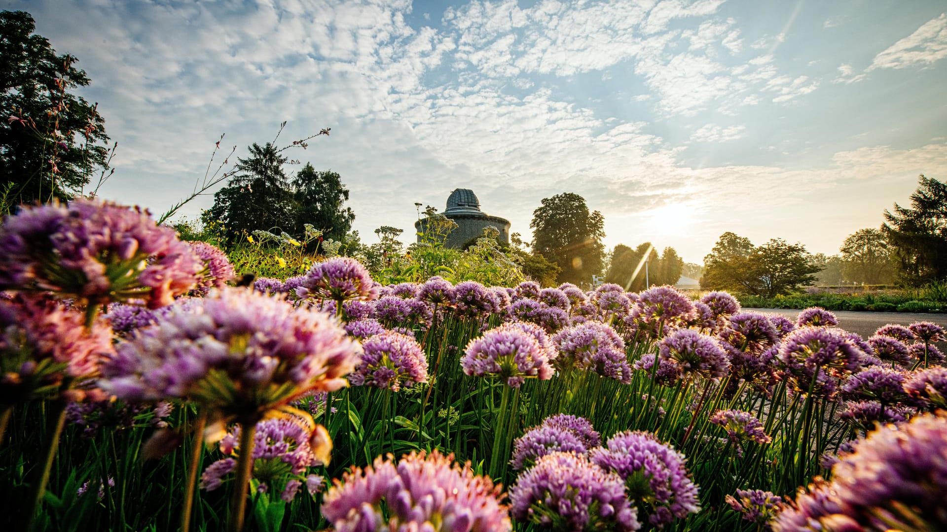 Ein wichtiger Standort für die Bundesgartenschau 2021 ist das Erfurter Garten- und Ausstellungs-Gelände (ega): Die Schau dauert bis Oktober.