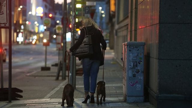 Eine Frau geht abends mit ihren Hunden spazieren