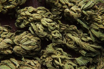 Getrocknetes Cannabis (Symbolbild): Die Polizei hat etwa ein Kilogramm Drogen beschlagnahmt.