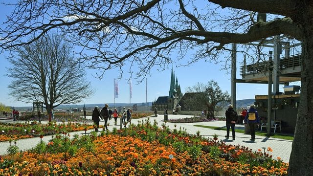 Besucher laufen auf dem Petersberg über das Gelände der Bundesgartenschau: Wegen der Corona-Pandemie stand die Schau zeitweise auf der Kippe, wurde dann aber doch eröffnet.