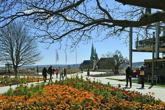 Besucher laufen auf dem Petersberg über das Gelände der Bundesgartenschau: Wegen der Corona-Pandemie stand die Schau zeitweise auf der Kippe, wurde dann aber doch eröffnet.