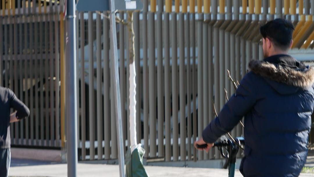 E-Scooter mit Baum auf der Ladefläche: Diesen Fahrer meldeten Zeugen der Polizei. Die Sicherung der Ladung war laut der Behörde unzureichend. E-Scooter mit Baum auf der Ladefläche: Diesen Fahrer meldeten Zeugen der Polizei. Die Sicherung der Ladung war laut der Behörde unzureichend.