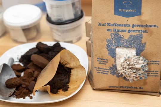 Alter Kaffeesatz eignet sich für die Pilzzucht.