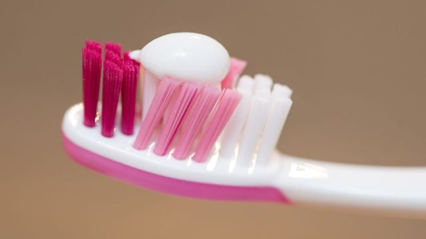 Erbsengroß: So viel Fluorid-haltige Zahnpasta sollte erst ab dem zweiten Geburtstag zweimal täglich auf der Bürste des Kindes sein.