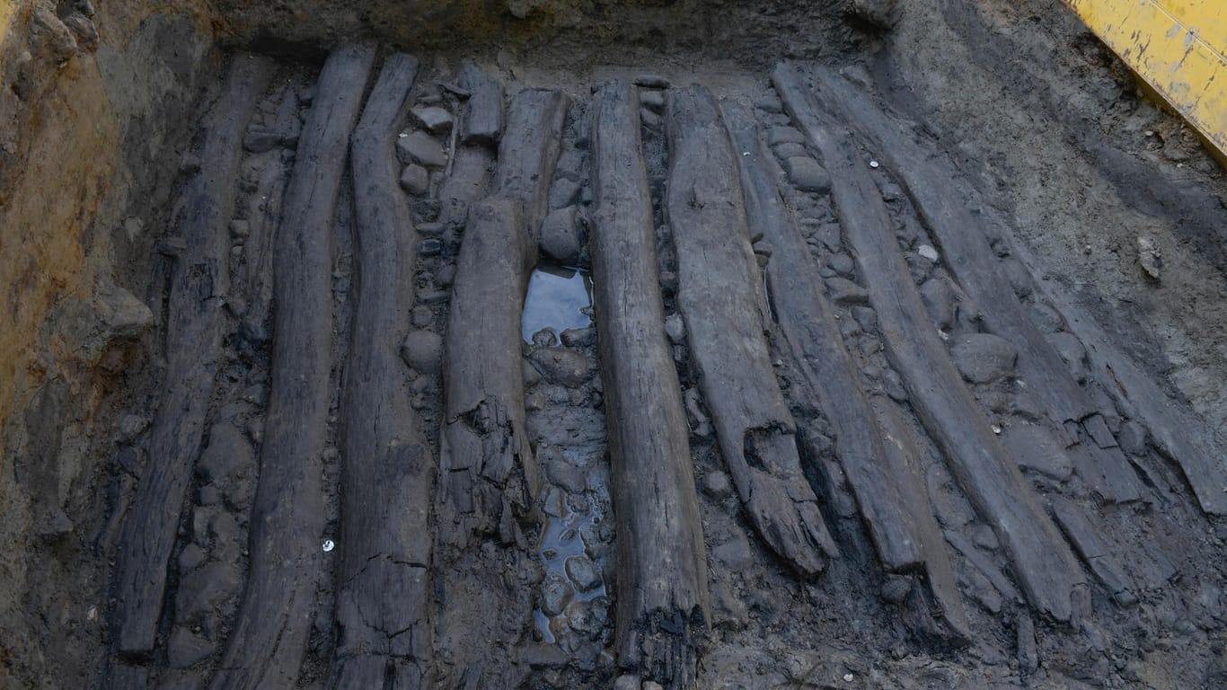 Der ausgegrabene Bohlweg: Er könnte bis zu 1.000 Jahre alt sein.