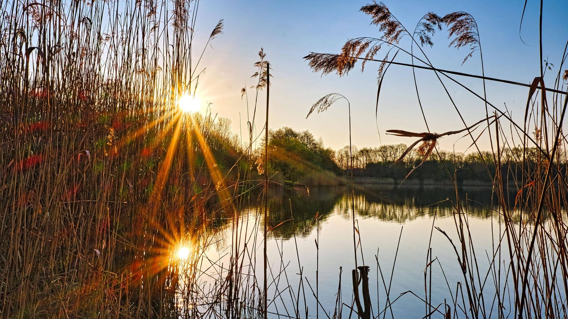 Sonnenaufgang am Waldsee Lauer in Markkleeberg bei Leipzig: Der Umwelt- und Klimaschutz bekommt Auftrieb.