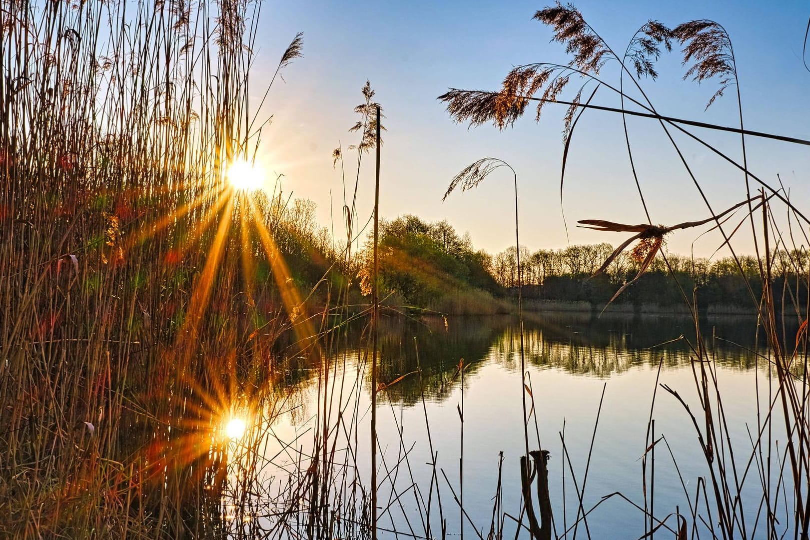 Sonnenaufgang am Waldsee Lauer in Markkleeberg bei Leipzig: Der Umwelt- und Klimaschutz bekommt Auftrieb.