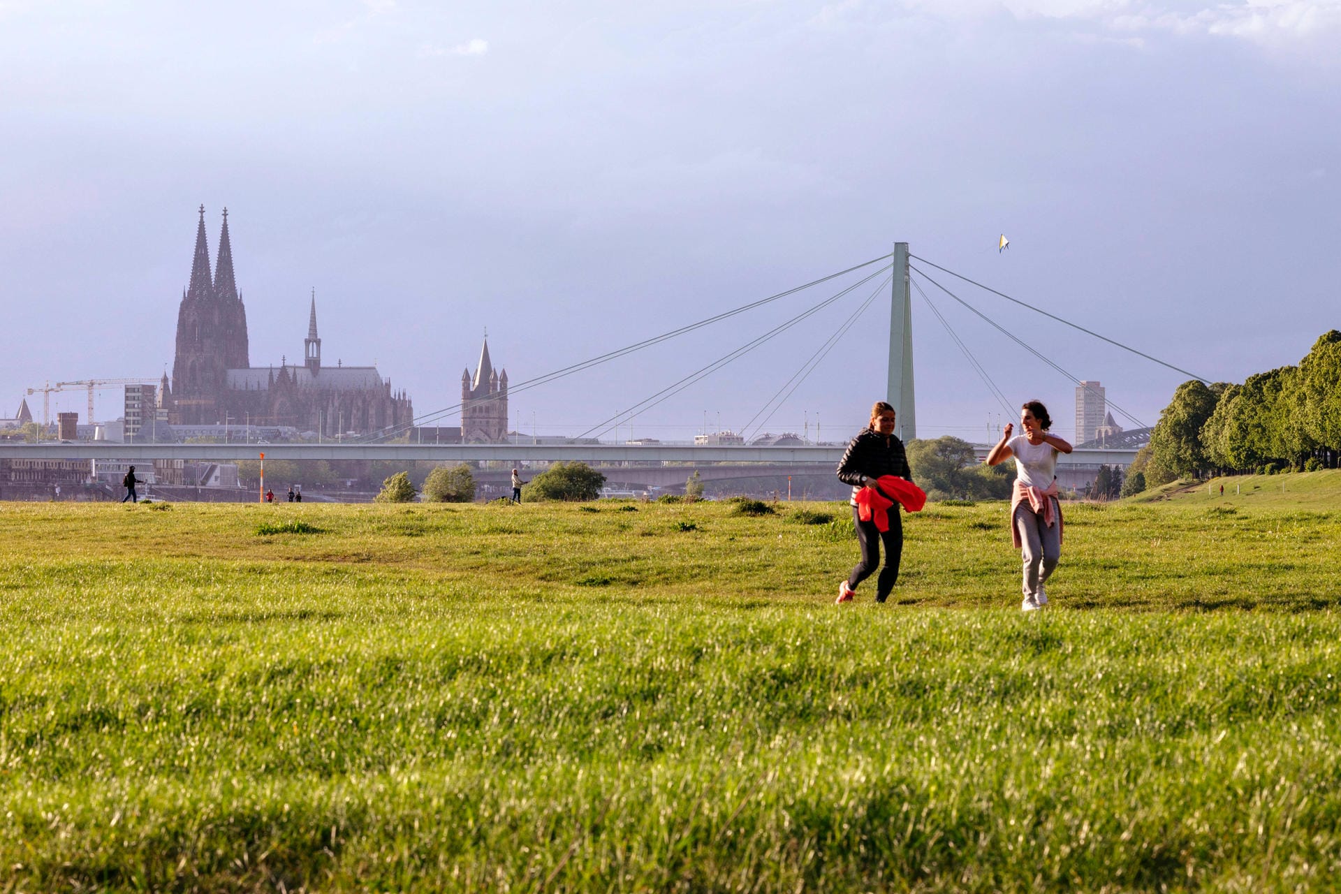 Poller Wiesen mit Kölner Skyline (Archivbild): Die Grünfläche ist bei Spaziergängern beliebt.