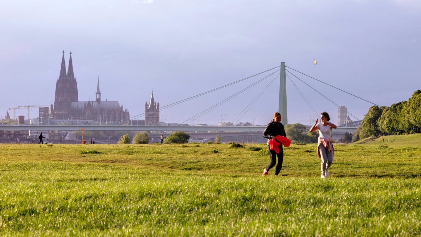 Poller Wiesen mit Kölner Skyline (Archivbild): Die Grünfläche ist bei Spaziergängern beliebt.