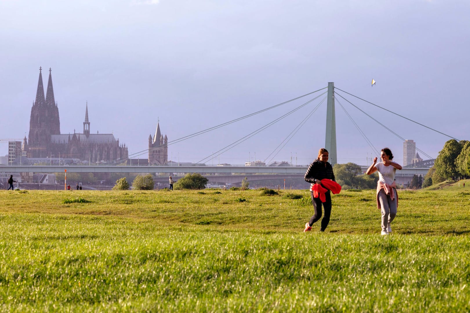 Poller Wiesen mit Kölner Skyline (Archivbild): Die Grünfläche ist bei Spaziergängern beliebt.