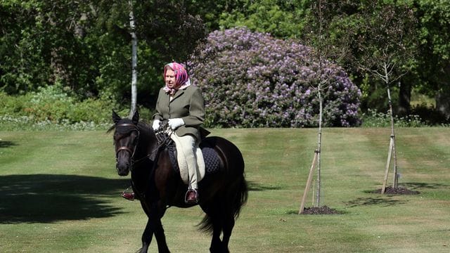 In den vergangenen zwei Wochen wurden auf einem Grundstück von Queen Elizabeth II. In den vergangenen zwei Wochen wurden auf einem Grundstück von Queen Elizabeth II.