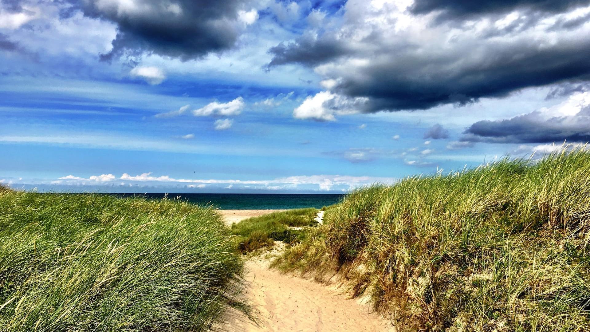 Dünen im dänischen Nordjütland.