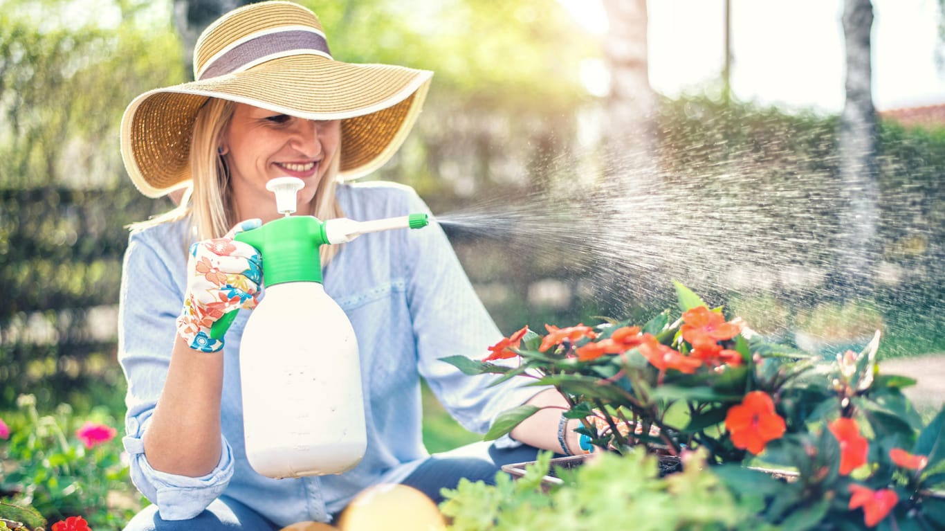 Mit diesen biologischen Pflanzenschutzmitteln befreien Sie Ihren Garten von schädlichen Insekten.
