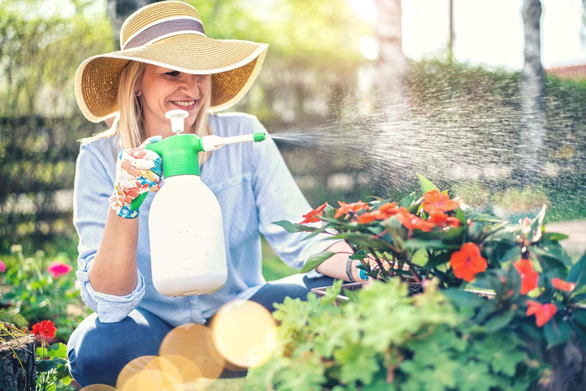 Mit diesen biologischen Pflanzenschutzmitteln befreien Sie Ihren Garten von schädlichen Insekten.