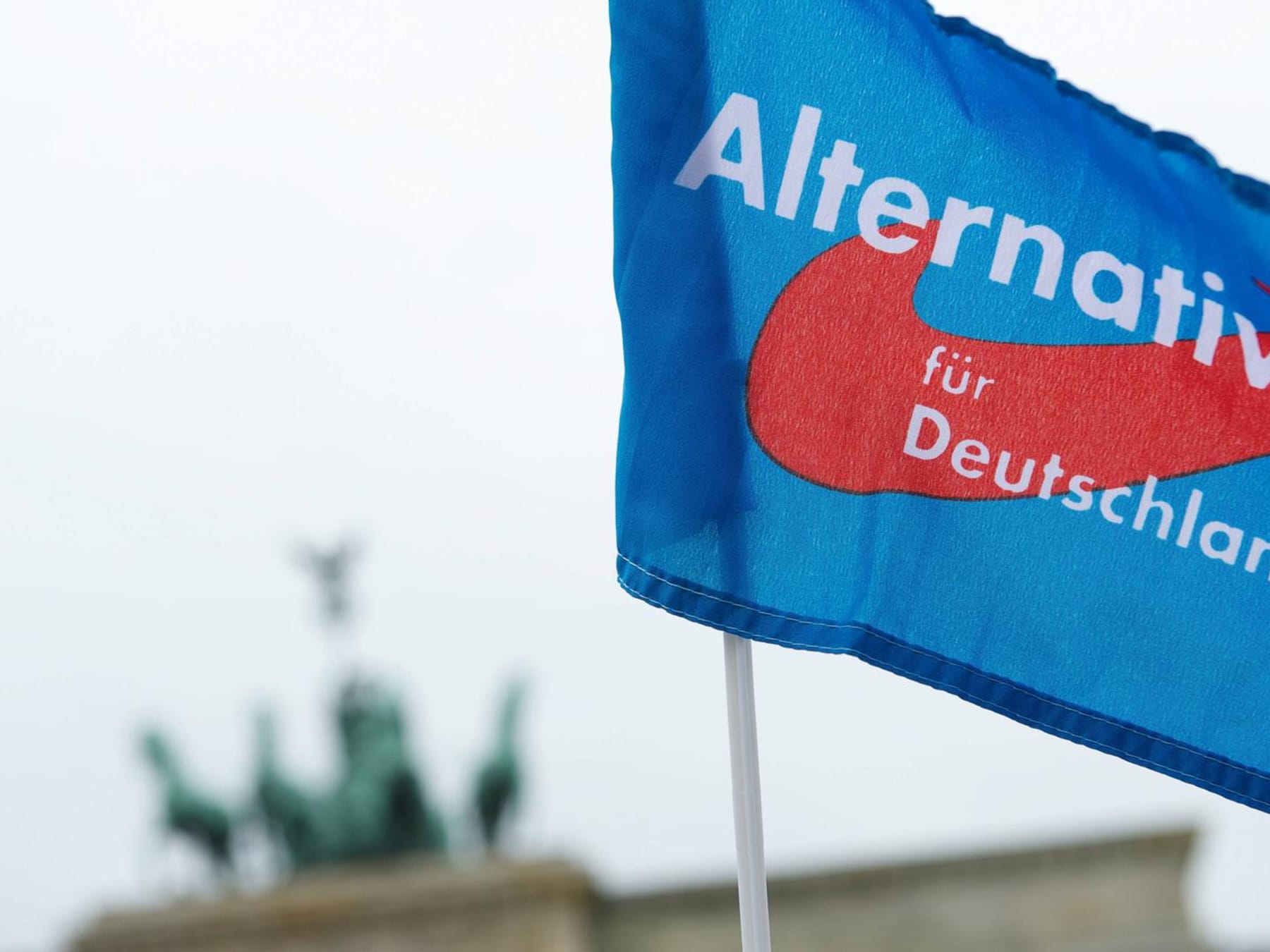 Verfassungsschutz: Berliner Landes-AfD wohl als Verdachtsfall eingestuft