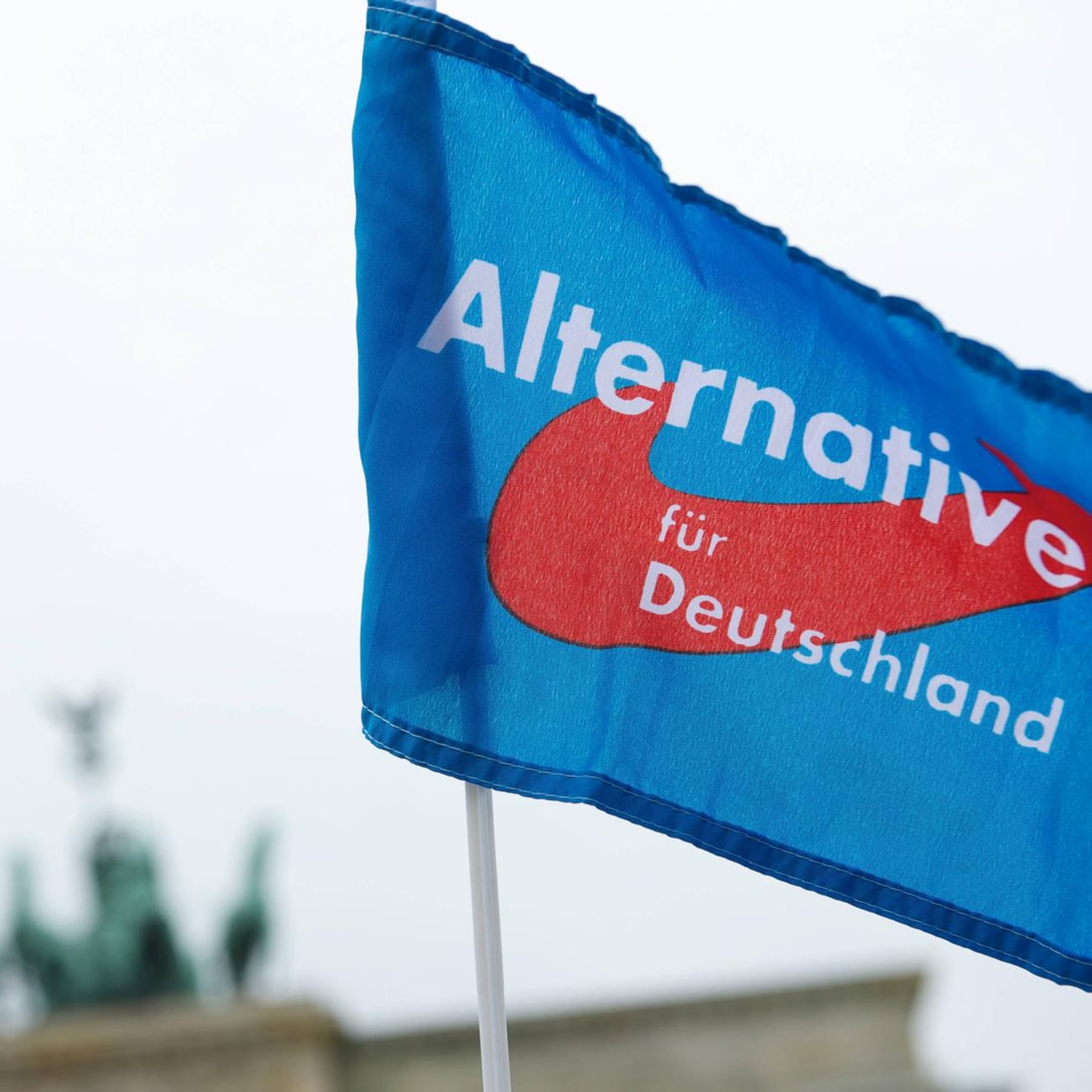 Verfassungsschutz: Berliner Landes-AfD wohl als Verdachtsfall eingestuft