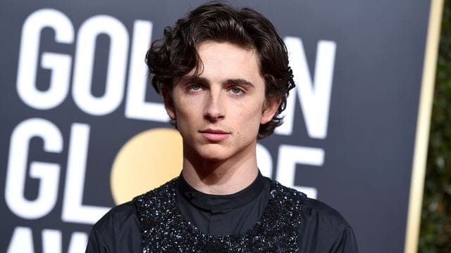 Timothée Chalamet fungiert als Mit-Ausrichter der Met-Gala. Timothée Chalamet fungiert als Mit-Ausrichter der Met-Gala.