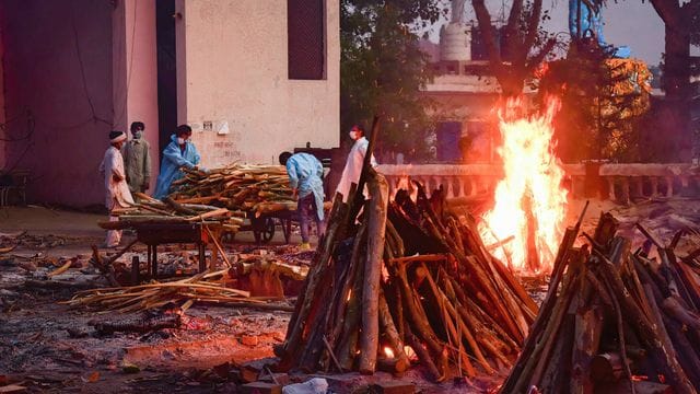 Angehörige eines an den Folgen des Coronavirus Verstorbenenen sammeln in Neu Delhi Holz für die Einäscherung. Angehörige eines an den Folgen des Coronavirus Verstorbenenen sammeln in Neu Delhi Holz für die Einäscherung.
