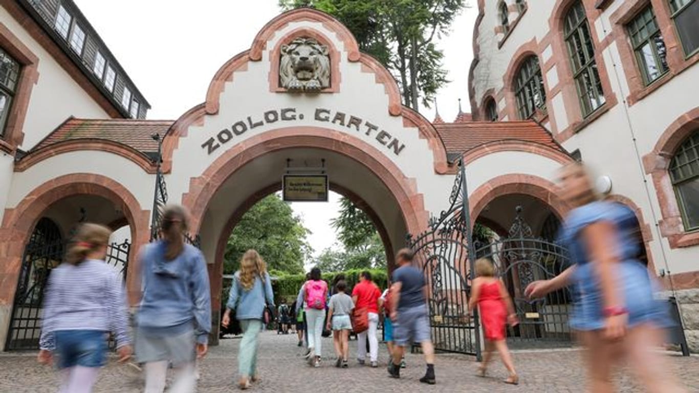 Besucher gehen in den Zoo Leipzig (Archivbild): Weil nur die Außenbereiche geöffnet werden, verlangt der Zoo zunächst nur den Wintereintrittspreis.