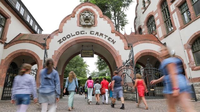 Besucher gehen in den Zoo Leipzig (Archivbild): Weil nur die Außenbereiche geöffnet werden, verlangt der Zoo zunächst nur den Wintereintrittspreis. Besucher gehen in den Zoo Leipzig (Archivbild): Weil nur die Außenbereiche geöffnet werden, verlangt der Zoo zunächst nur den Wintereintrittspreis.