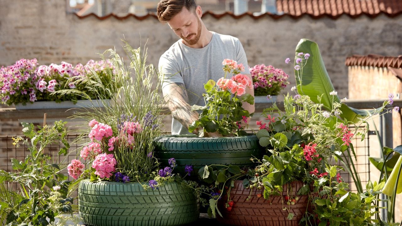 Geranien: Mit diesem Upcycling-Projekt können Sie Ihren Garten individuell gestalten.