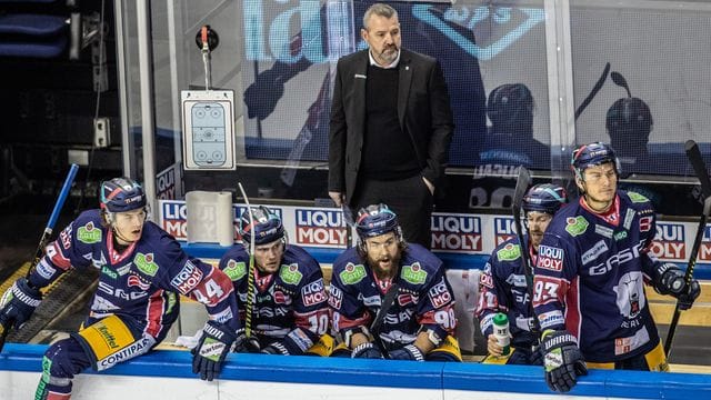 Trainer Serge Aubin ist mit den Eisbären Berlin gegen die Grizzlys Wolfsburg im zweiten Spiel gefordert. Trainer Serge Aubin ist mit den Eisbären Berlin gegen die Grizzlys Wolfsburg im zweiten Spiel gefordert.