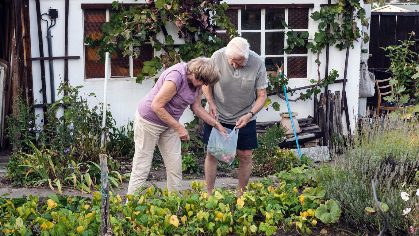 Ehepaar vor einem Gartenhaus (Symbolbild): Wenn die Bewohnung einer Immobilie nicht rechtens ist, kann der Verkauf teuer versteuert werden.