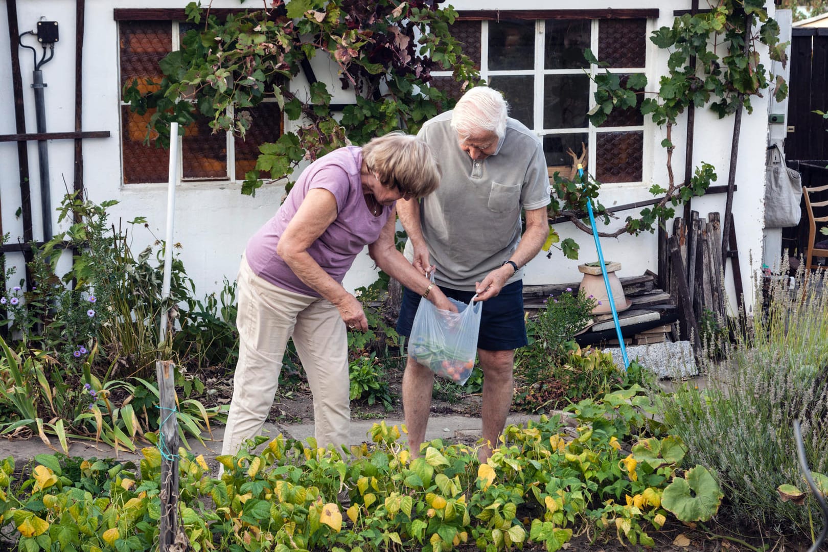 Ehepaar vor einem Gartenhaus (Symbolbild): Wenn die Bewohnung einer Immobilie nicht rechtens ist, kann der Verkauf teuer versteuert werden.