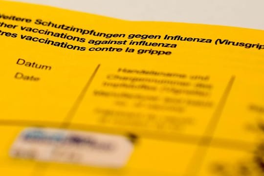 Ein Impfbuch mit den Feldern für die Impfung gegen Influenza (Virusgrippe).