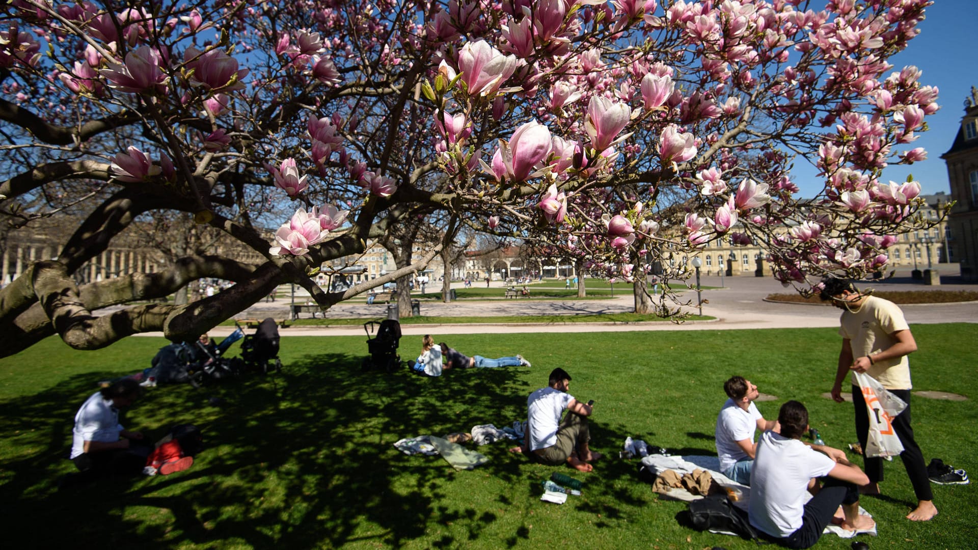 Der Stuttgarter Schlossplatz: Im Süden Deutschlands können sich die Menschen am Wochenende auf Temperaturen über 25 Grad freuen.