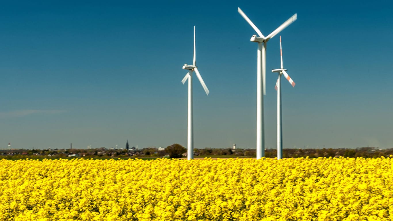 Windräder stehen auf einem Rapsfeld (Symbolbild): Der Landkreis Karlsruhe will seine Klimaziele enger stecken.