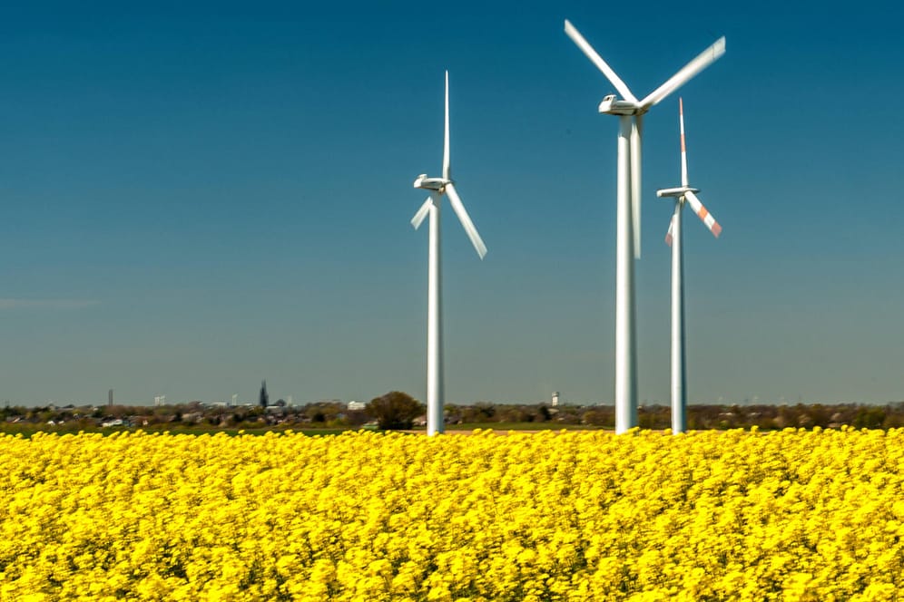 Windräder stehen auf einem Rapsfeld (Symbolbild): Der Landkreis Karlsruhe will seine Klimaziele enger stecken.