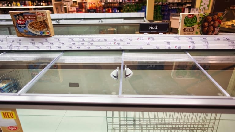 Leere Tiefkühltruhe im Supermarkt (Archivbild): Hersteller haben zunehmend Probleme, Verpackungen aus Kunststoff zu produzieren – etwa die Folie für Tiefkühlpizzen.