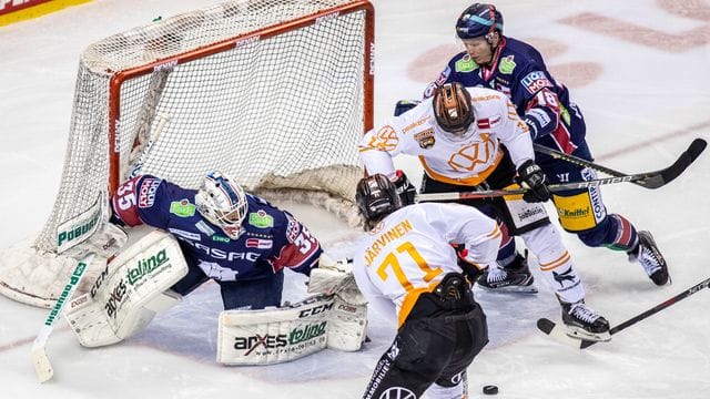 Die Eisbären Berlin um Torwart Mathias Niederberger (l) treffen auf die Grizzlys Wolfsburg. Die Eisbären Berlin um Torwart Mathias Niederberger (l) treffen auf die Grizzlys Wolfsburg.