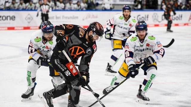 Grizzlys Wolfsburg - Eisbären Berlin Grizzlys Wolfsburg - Eisbären Berlin