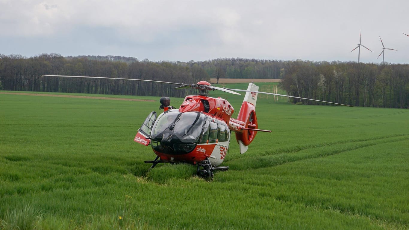 Ein Hubschrauber landet in einem Feld (Symbolbild): Wegen eines Zusammenstoßes mit einem Vogel musste ein Rettungshubschrauber notlanden.