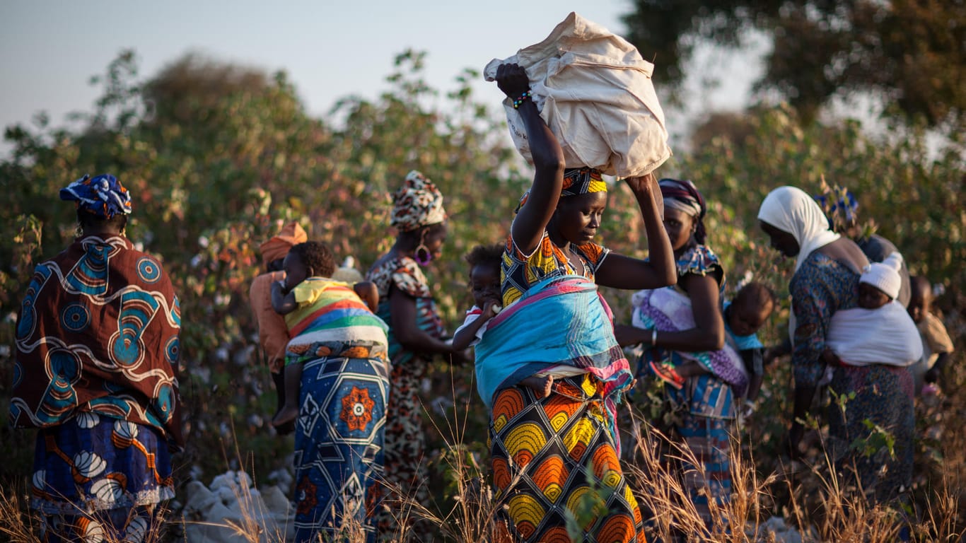 Arbeiterinnen auf einem Baumwollfeld in Afrika: Verkäufe von Textilien mit Fairtrade-Baumwolle gingen im Corona-Jahr 2020 um 30 Prozent zurück.