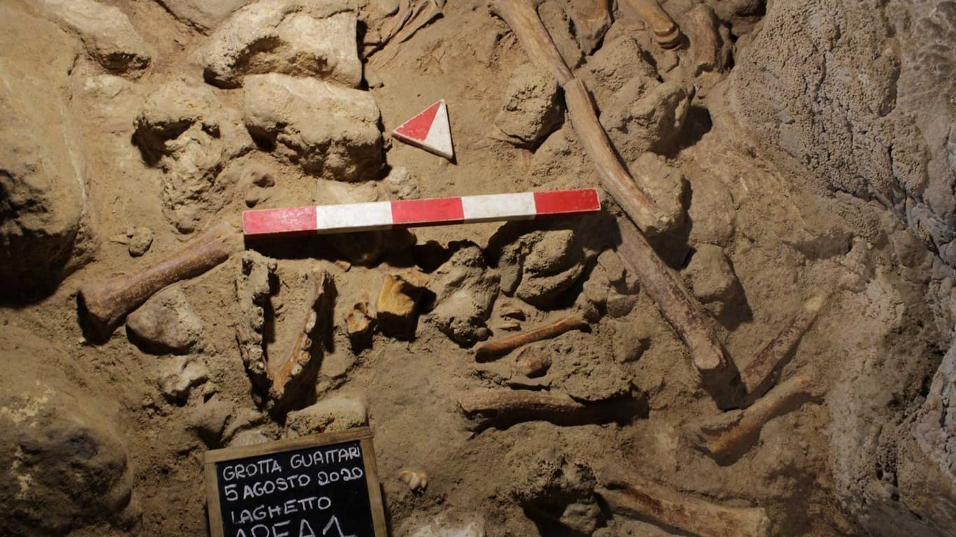 Knochen in der Guattari-Höhle: Elf Neandertaler wurden in der Höhle bislang gefunden.