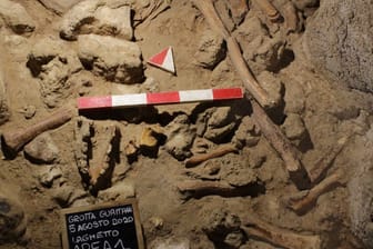 Knochen in der Guattari-Höhle: Elf Neandertaler wurden in der Höhle bislang gefunden.