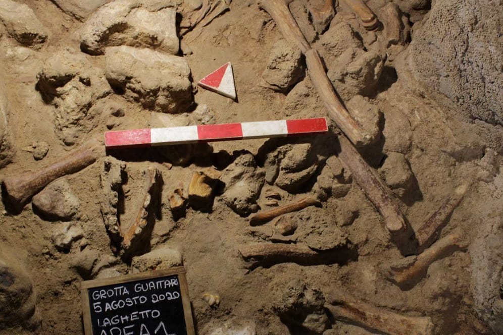 Knochen in der Guattari-Höhle: Elf Neandertaler wurden in der Höhle bislang gefunden.