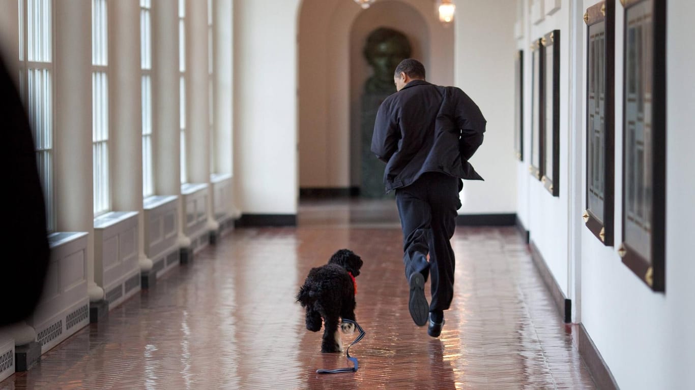 Barack Obama rennt mit seinem Hund durchs Weiße Haus (Archivfoto): Der Vierbeiner ist gestorben.