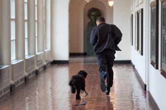 Barack Obama rennt mit seinem Hund durchs Weiße Haus (Archivfoto): Der Vierbeiner ist gestorben.