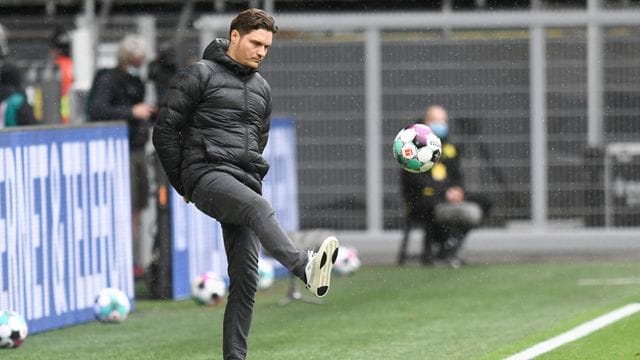 Für Ex-Nationalspieler Dietmar Hamann wird der momentane Dortmund-Trainer Edin Terzic nicht bei der Borussia bleiben. Für Ex-Nationalspieler Dietmar Hamann wird der momentane Dortmund-Trainer Edin Terzic nicht bei der Borussia bleiben.