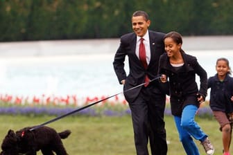 Malia Obama 2009 mit Familienhund Bo, gefolgt von damaliger US-Präsident Barack Obama und Sasha Obama.