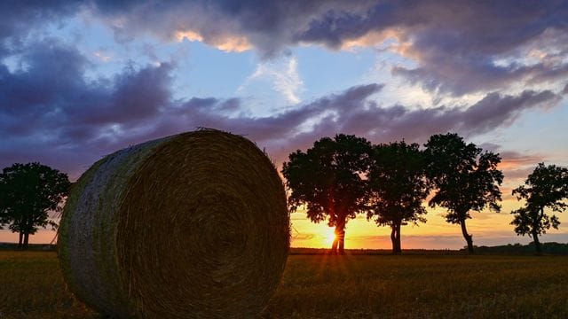 Landwirtschaftliche Flächen sind nicht nur was fürs Auge. Landwirtschaftliche Flächen sind nicht nur was fürs Auge.